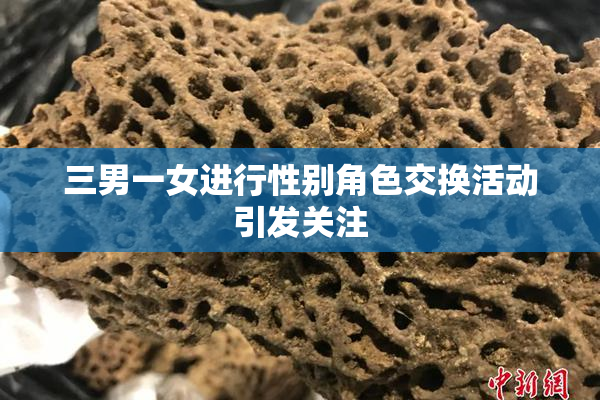 三男一女进行性别角色交换活动引发关注
