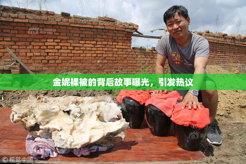 金妮裸被的背后故事曝光，引发热议