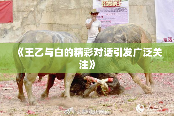 《王乙与白的精彩对话引发广泛关注》