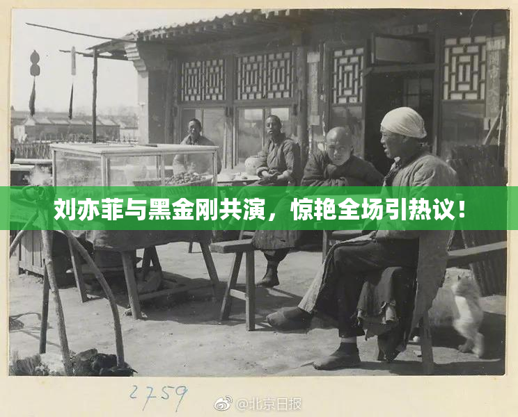 刘亦菲与黑金刚共演，惊艳全场引热议！