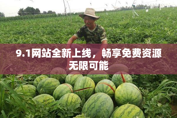 9.1网站全新上线，畅享免费资源无限可能
