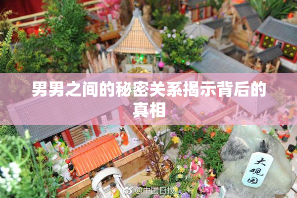 男男之间的秘密关系揭示背后的真相