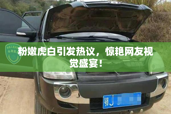 粉嫩虎白引发热议，惊艳网友视觉盛宴！