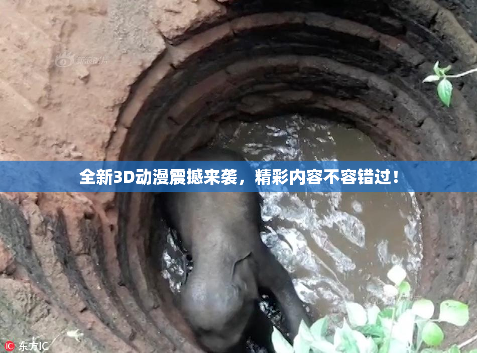 全新3D动漫震撼来袭，精彩内容不容错过！