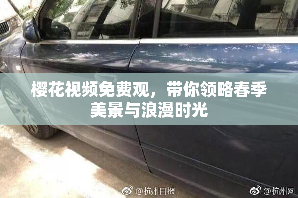 樱花视频免费观，带你领略春季美景与浪漫时光