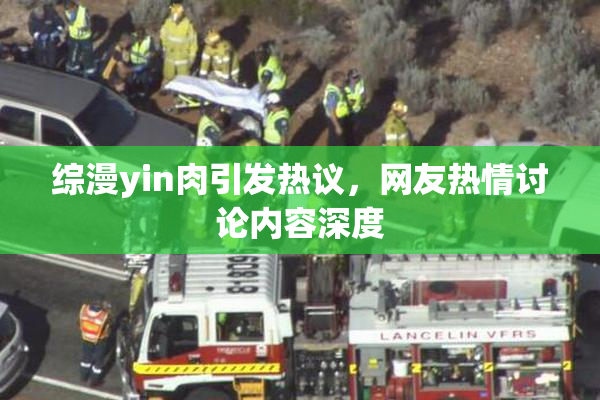 综漫yin肉引发热议，网友热情讨论内容深度