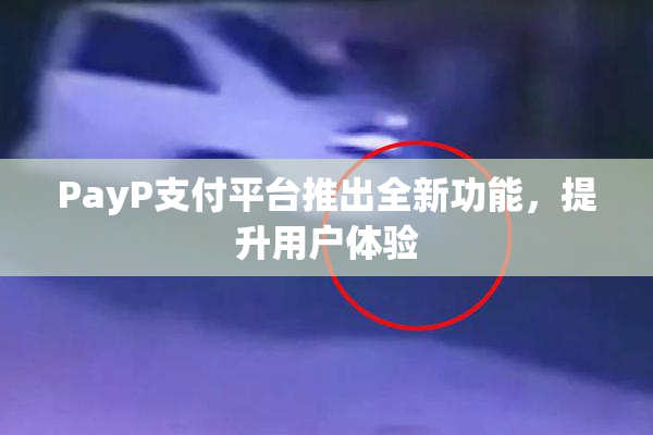 PayP支付平台推出全新功能，提升用户体验