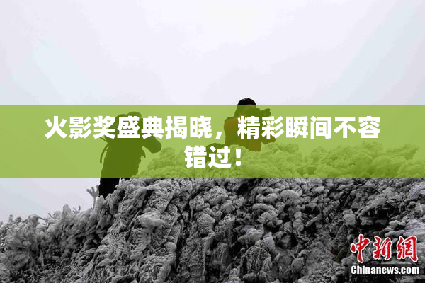火影奖盛典揭晓，精彩瞬间不容错过！