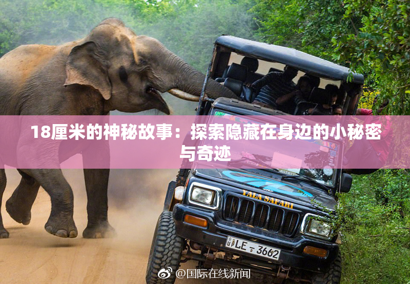 18厘米的神秘故事：探索隐藏在身边的小秘密与奇迹
