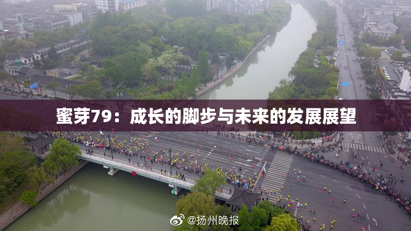 蜜芽79：成长的脚步与未来的发展展望