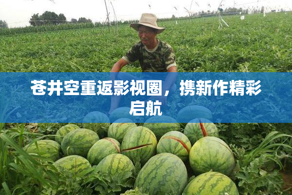 苍井空重返影视圈，携新作精彩启航