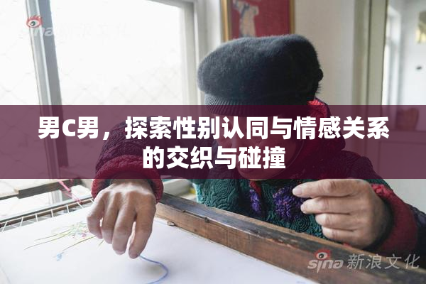 男C男，探索性别认同与情感关系的交织与碰撞