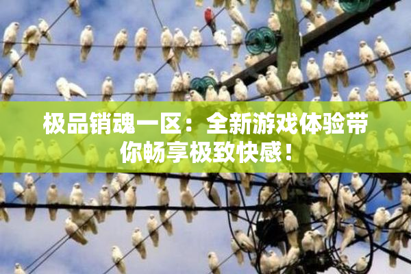 极品销魂一区：全新游戏体验带你畅享极致快感！