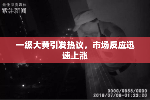 一级大黄引发热议，市场反应迅速上涨