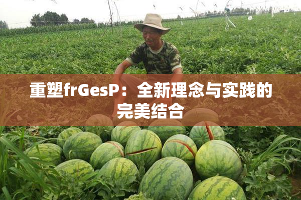 重塑frGesP：全新理念与实践的完美结合