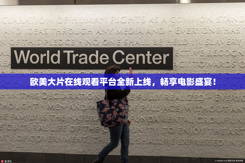欧美大片在线观看平台全新上线，畅享电影盛宴！