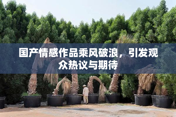 国产情感作品乘风破浪，引发观众热议与期待