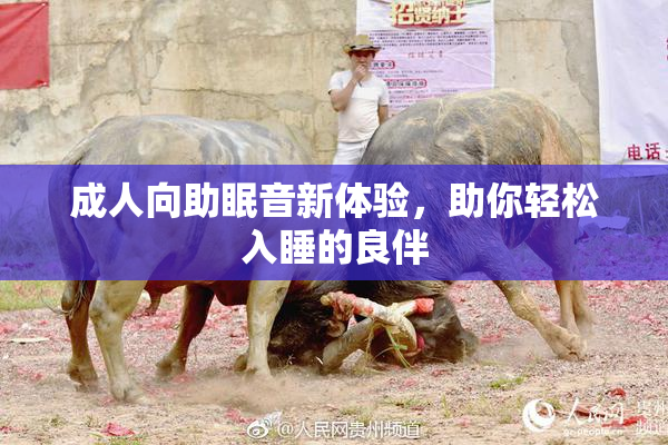 成人向助眠音新体验，助你轻松入睡的良伴