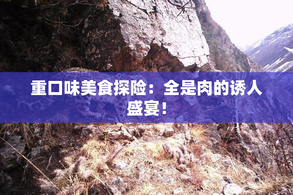 重口味美食探险：全是肉的诱人盛宴！