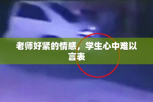 老师好紧的情感，学生心中难以言表
