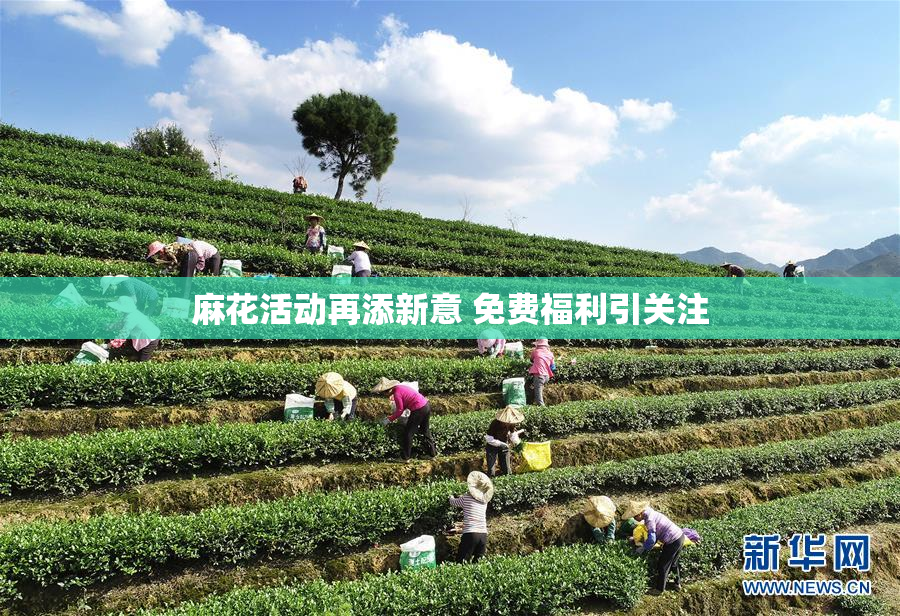 麻花活动再添新意 免费福利引关注