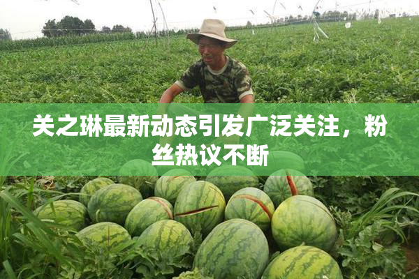 关之琳最新动态引发广泛关注，粉丝热议不断