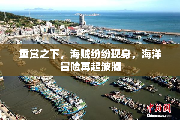 重赏之下，海贼纷纷现身，海洋冒险再起波澜