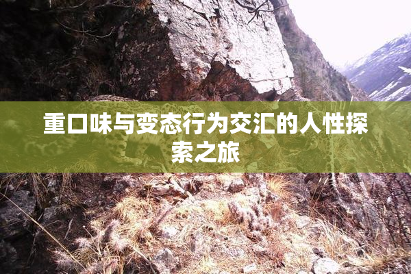 重口味与变态行为交汇的人性探索之旅