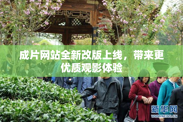 成片网站全新改版上线，带来更优质观影体验