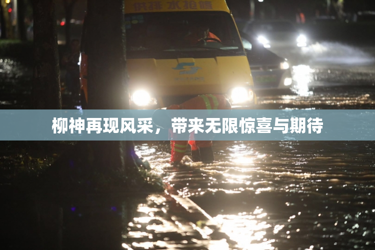 柳神再现风采，带来无限惊喜与期待
