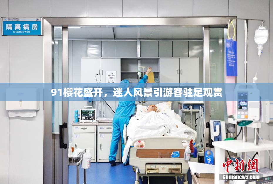 91樱花盛开，迷人风景引游客驻足观赏