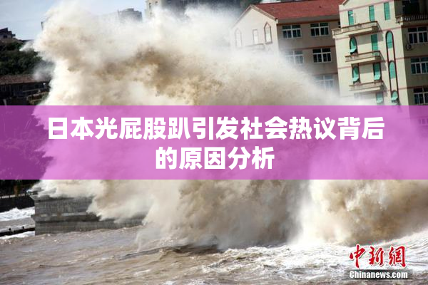 日本光屁股趴引发社会热议背后的原因分析
