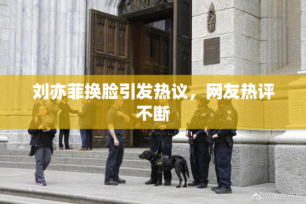 刘亦菲换脸引发热议，网友热评不断