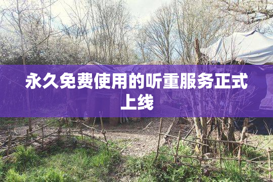 永久免费使用的听重服务正式上线