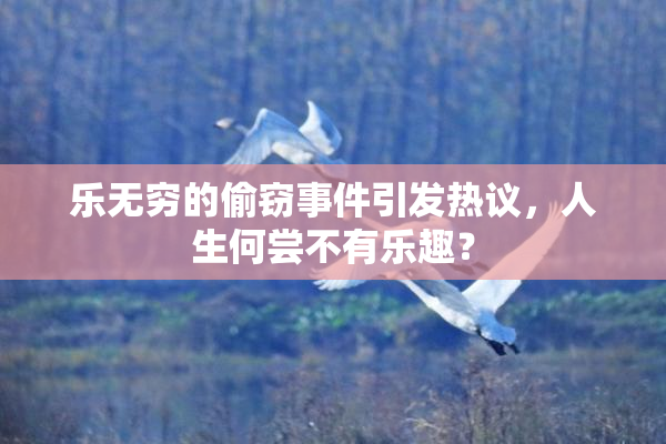 乐无穷的偷窃事件引发热议，人生何尝不有乐趣？
