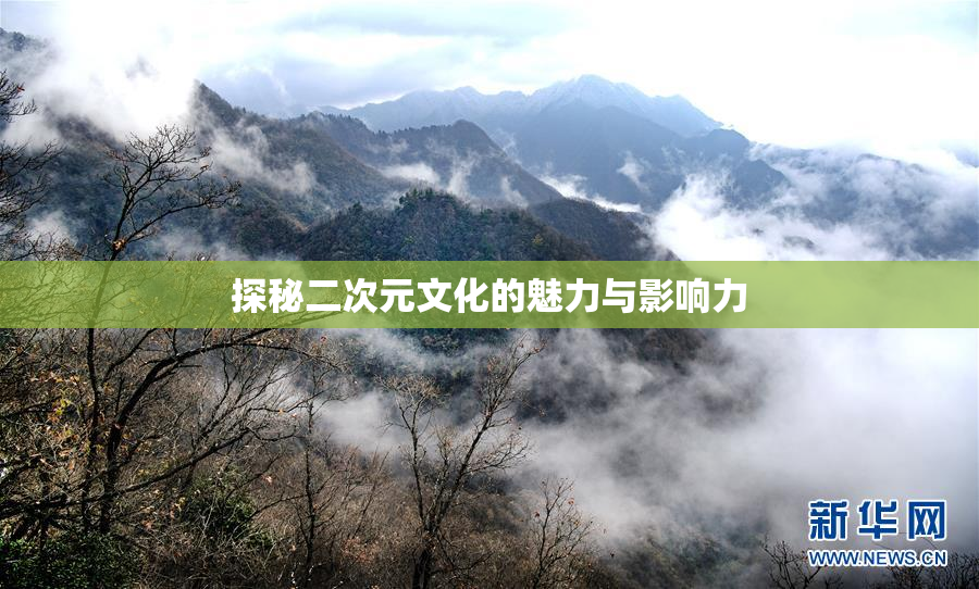 探秘二次元文化的魅力与影响力