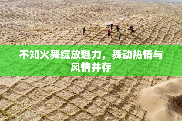 不知火舞绽放魅力，舞动热情与风情并存