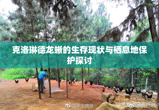 克洛琳德龙蜥的生存现状与栖息地保护探讨