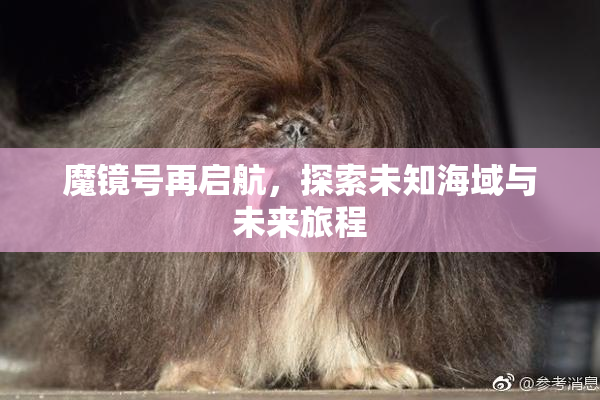 魔镜号再启航，探索未知海域与未来旅程