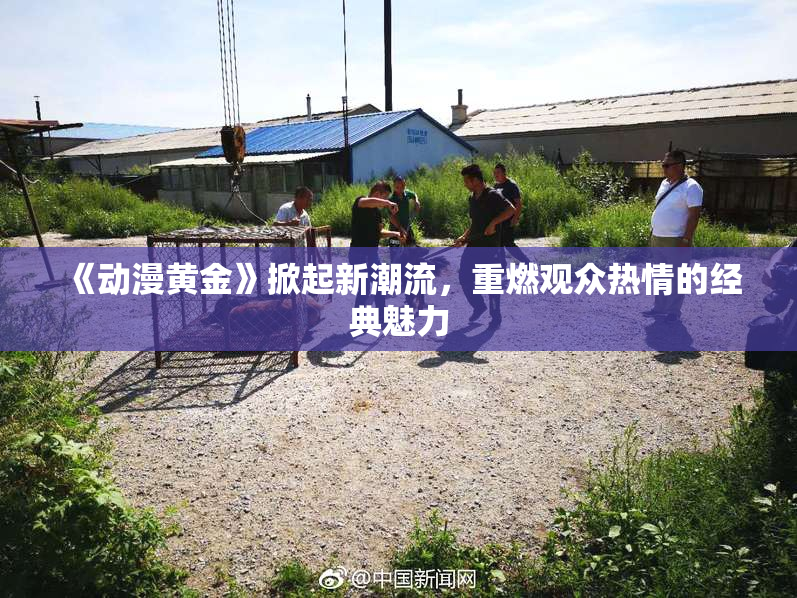 《动漫黄金》掀起新潮流，重燃观众热情的经典魅力