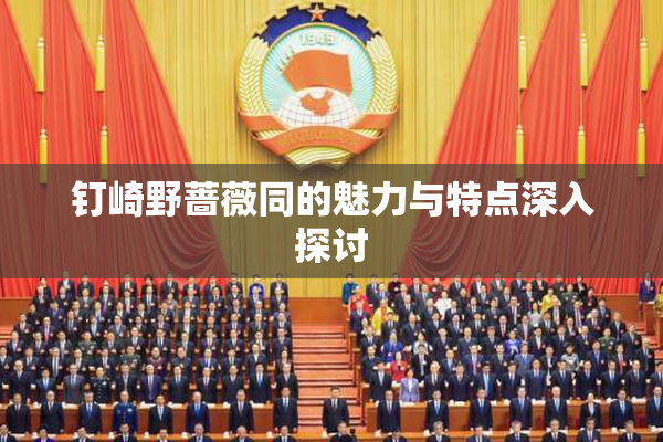 钉崎野蔷薇同的魅力与特点深入探讨