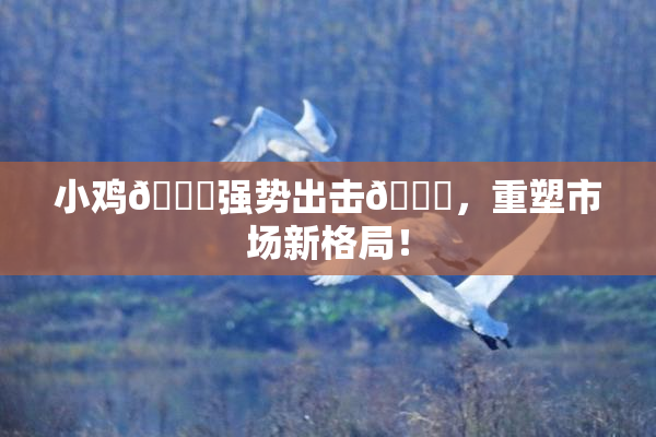 小鸡🐔强势出击🍑，重塑市场新格局！