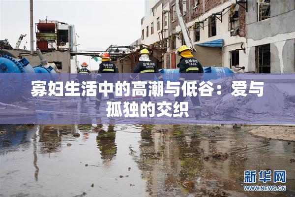 寡妇生活中的高潮与低谷：爱与孤独的交织
