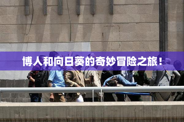 博人和向日葵的奇妙冒险之旅！