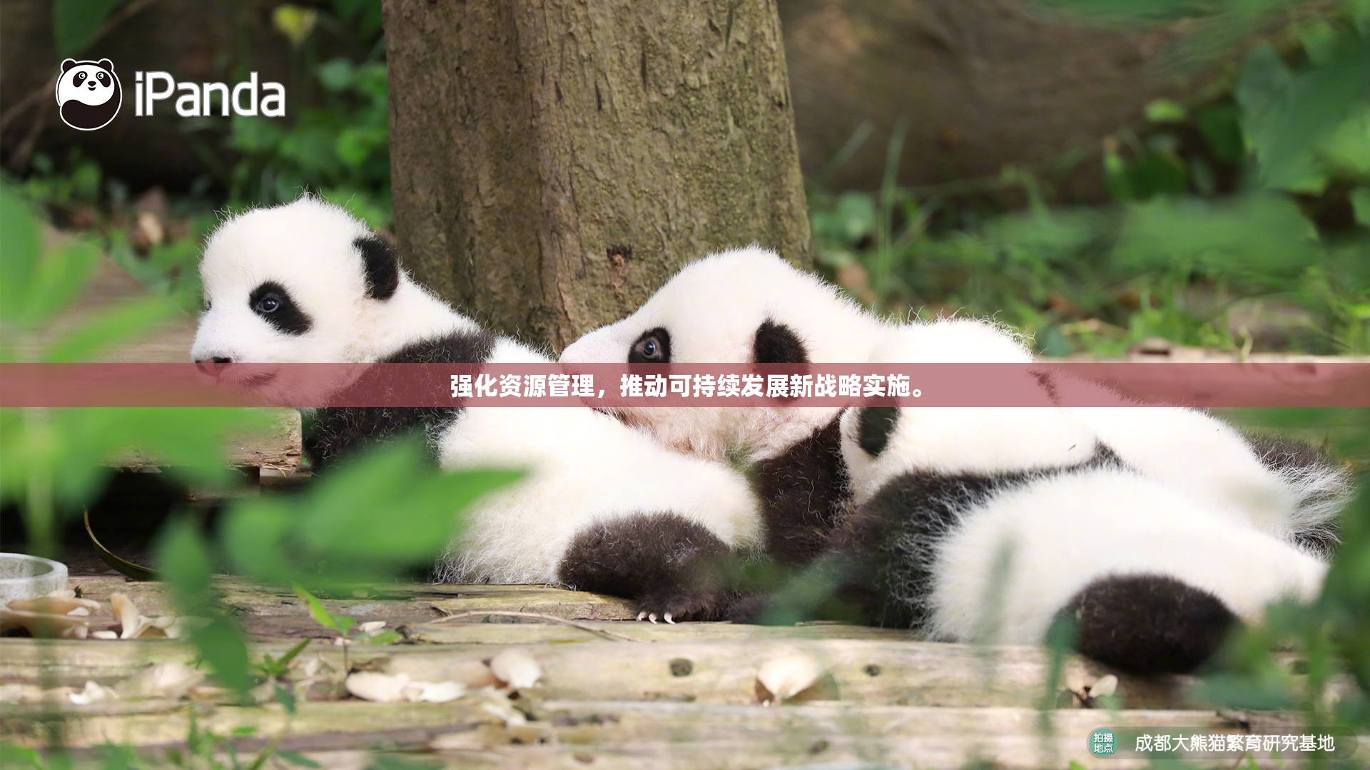 强化资源管理，推动可持续发展新战略实施。