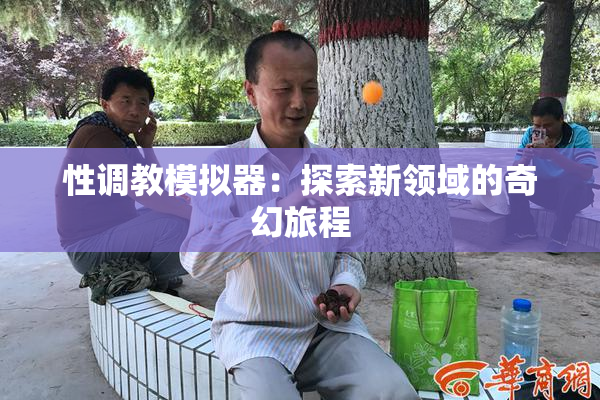 性调教模拟器：探索新领域的奇幻旅程