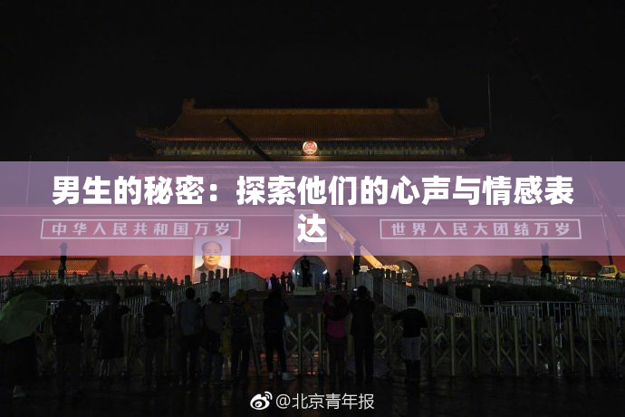 男生的秘密：探索他们的心声与情感表达