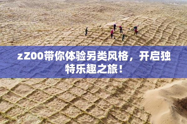 zZ00带你体验另类风格，开启独特乐趣之旅！