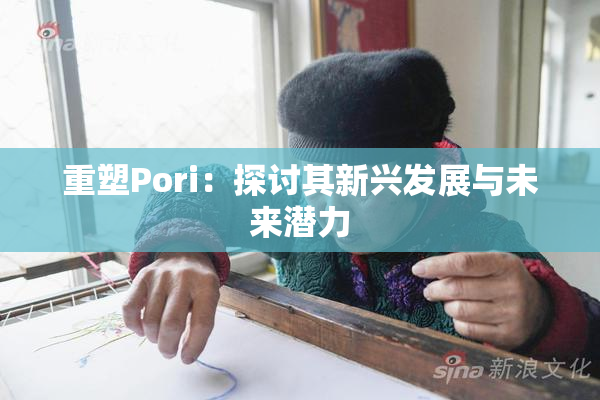 重塑Pori：探讨其新兴发展与未来潜力