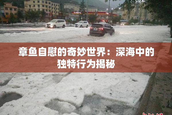 章鱼自慰的奇妙世界：深海中的独特行为揭秘